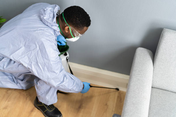 Real Estate Pest Inspections in Green Island, NY